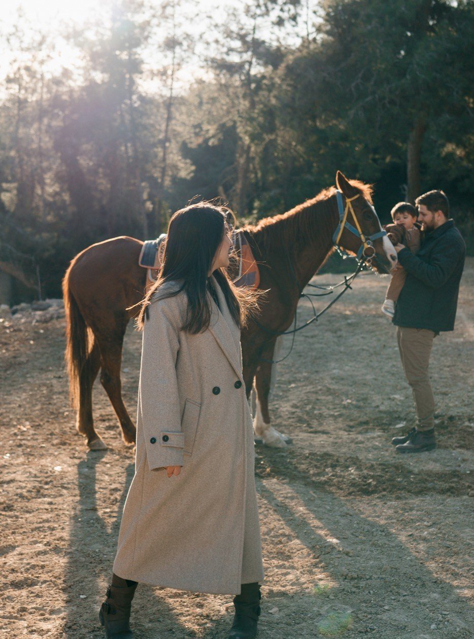Meeting the horse in the low winter sun